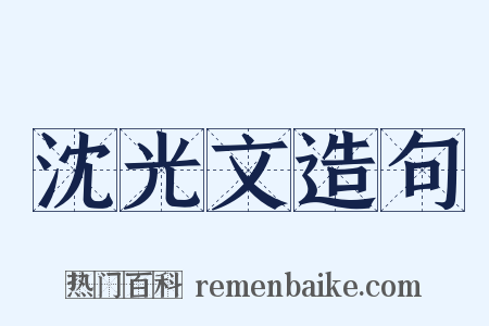 沈光文造句是什么意思的图片